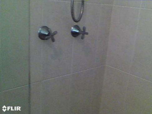 Shower thermal imaging pre purchase inspection