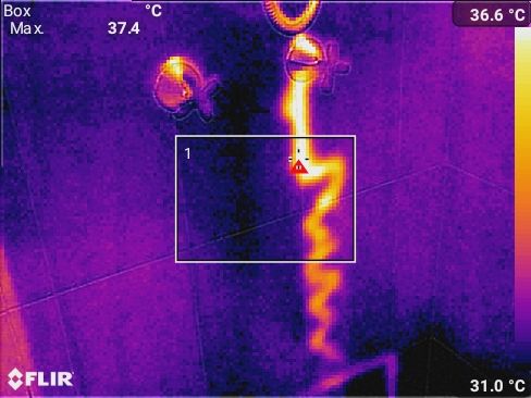 Building and pest inspection shower leak thermal imaging