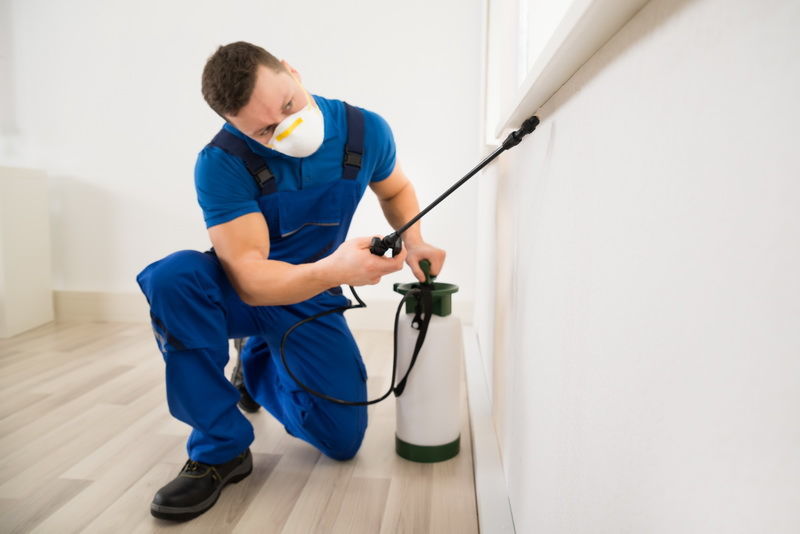 Professional and Affordable Pest Control